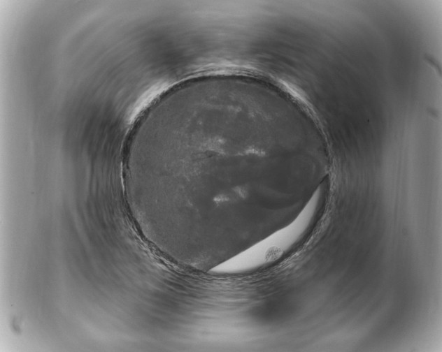 X0000102491267200808151447