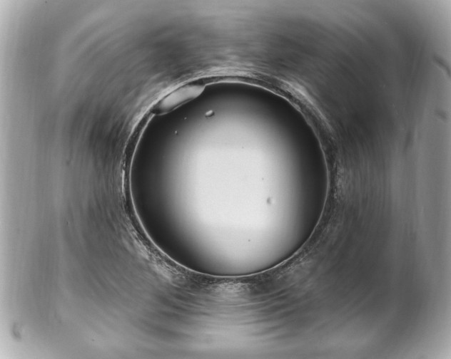 X0000102491268200808151447