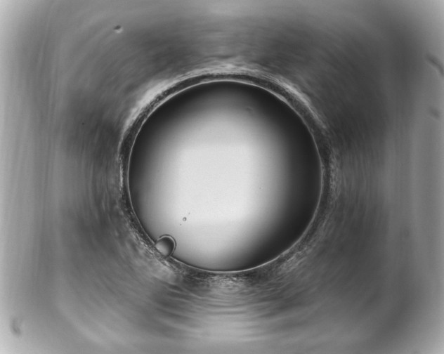 X0000102491270200808151447