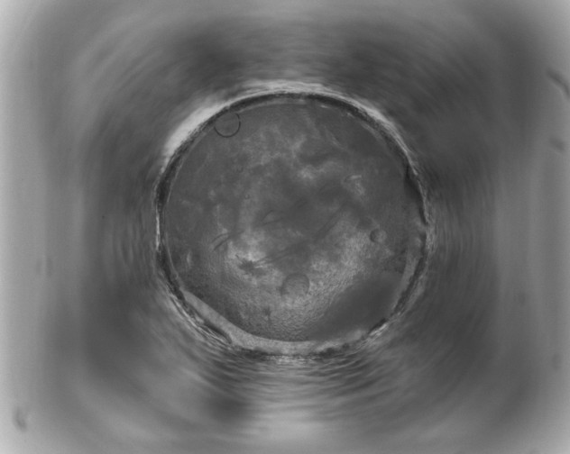 X0000102491271200808151447