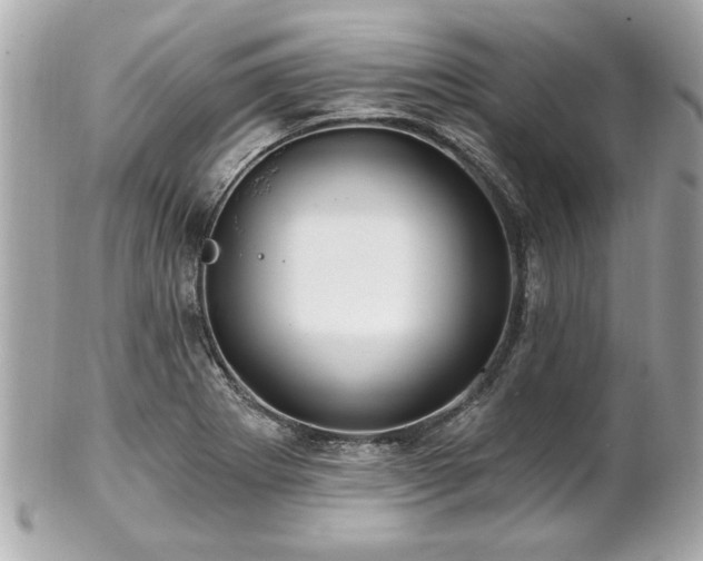 X0000102491273200808151447