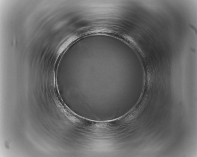 X0000102491274200808151447