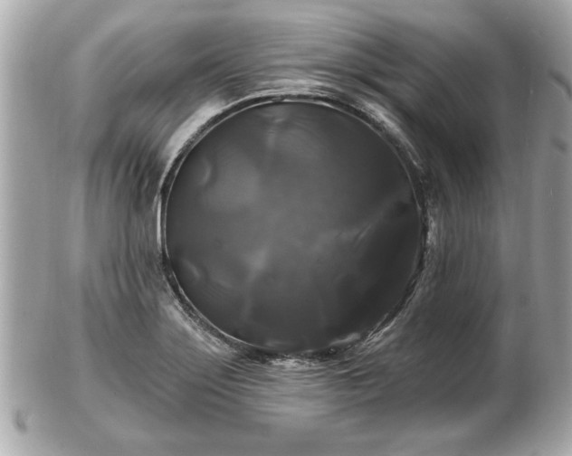 X0000102491275200808151447