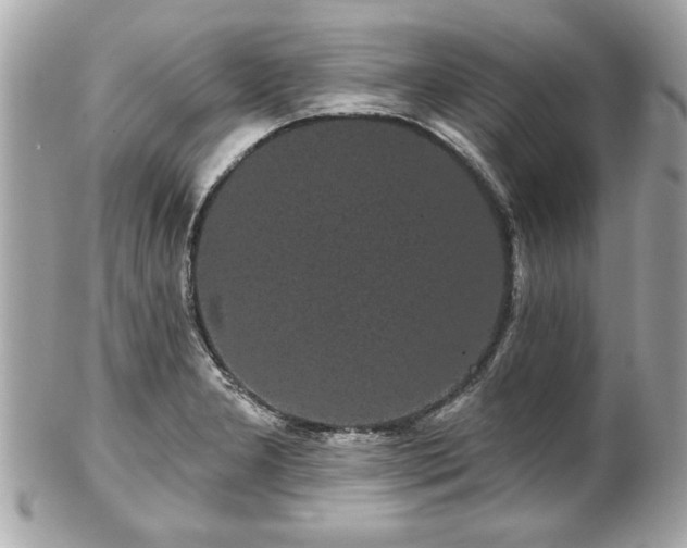 X0000102491277200808151447