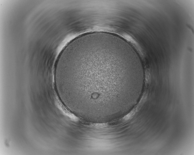 X0000102491280200808151447