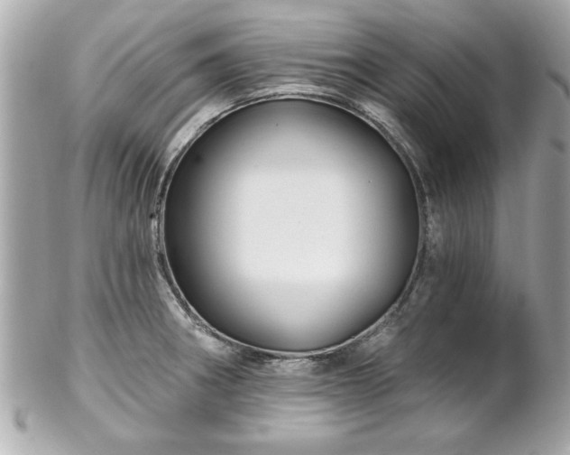 X0000102491282200808151447