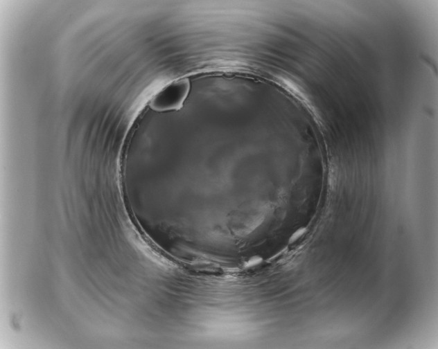 X0000102491283200808151447