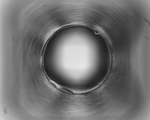 X0000102491284200808151447