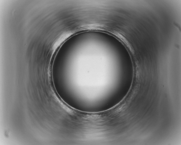 X0000102491285200808151447