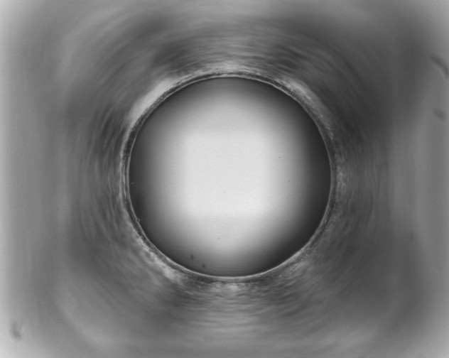 X0000102491286200808151447