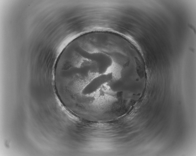 X0000102491287200808151447