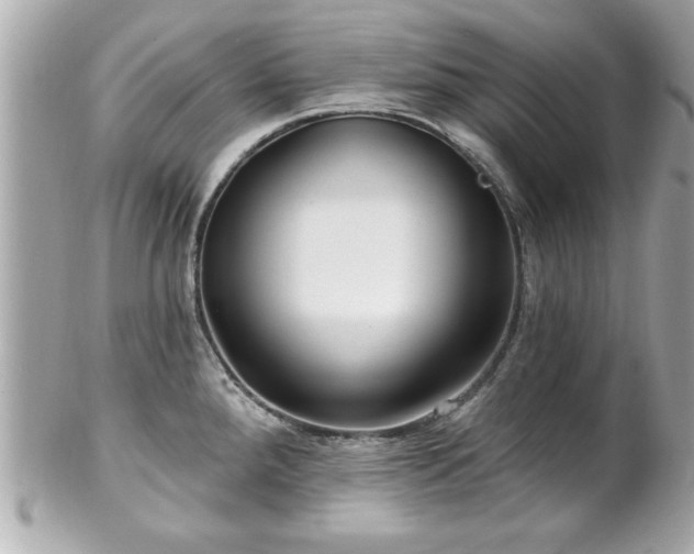 X0000102491288200808151447