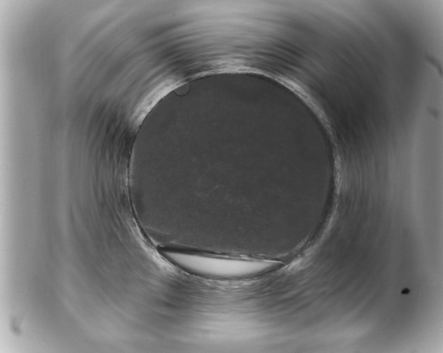 X0000102491289200808151447