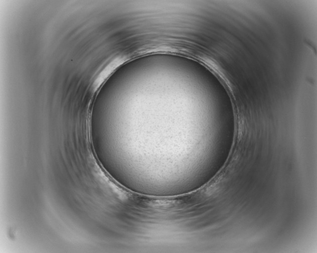 X0000102491290200808151447