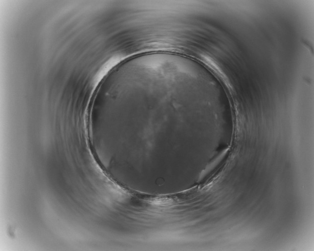 X0000102491291200808151447