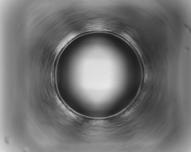 X0000102491293200808151447