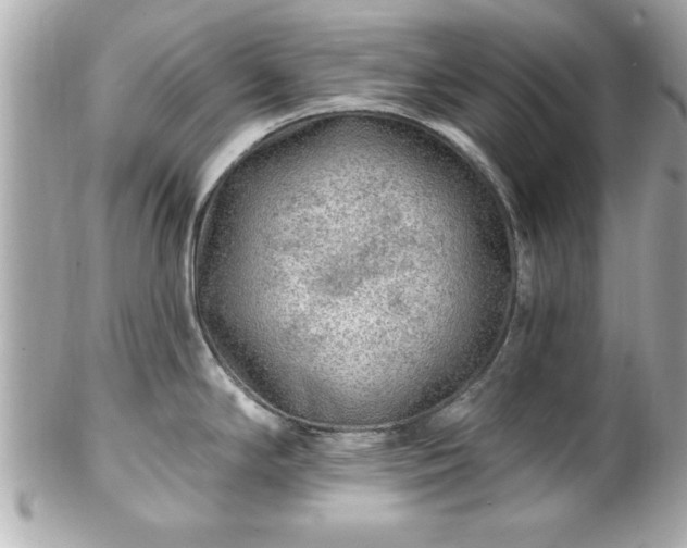 X0000102491294200808151447