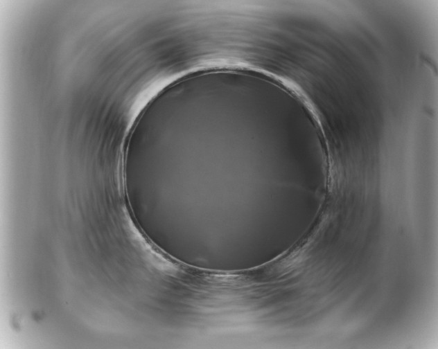 X0000102491295200808151447