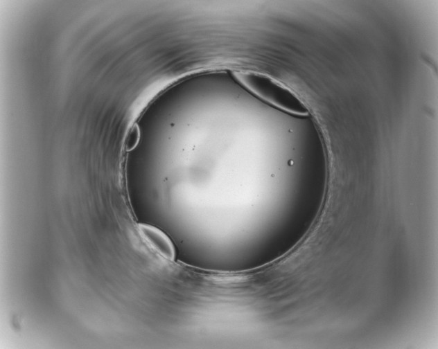 X0000102491296200808151447