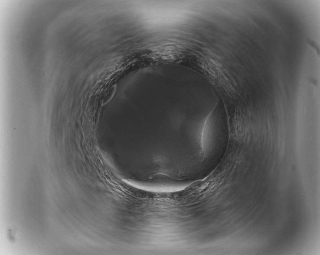 X0000102491297200808151446