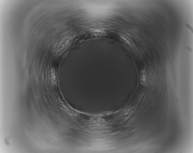 X0000102491298200808151446