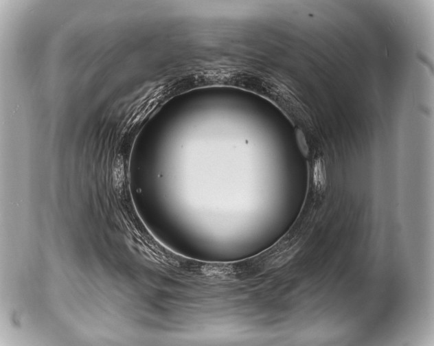 X0000102491299200808151446