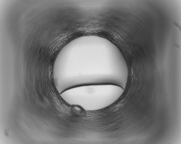 X0000102491300200808151446