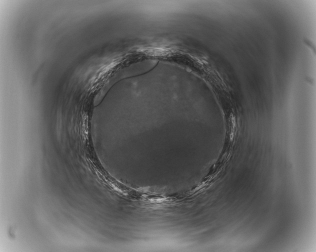 X0000102491301200808151446