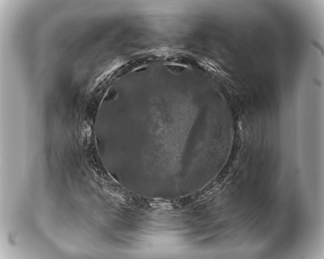 X0000102491302200808151446