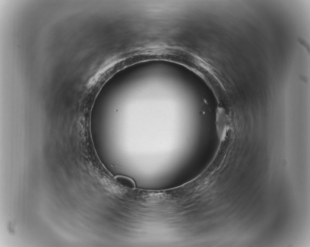 X0000102491304200808151446