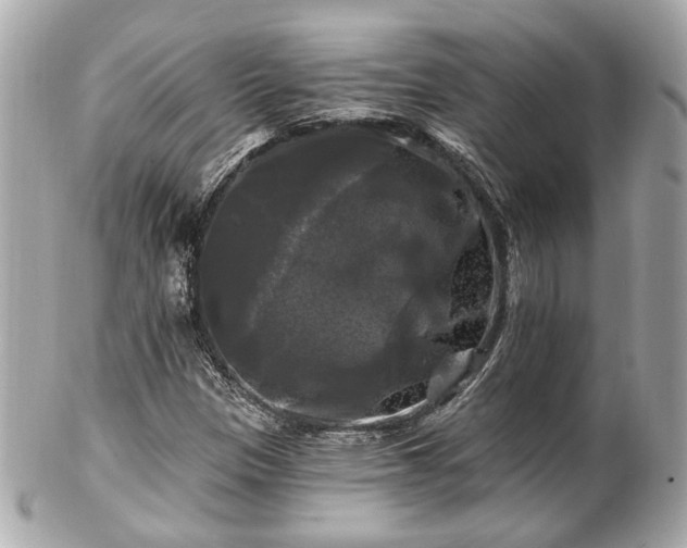 X0000102491305200808151446