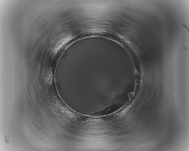 X0000102491306200808151446