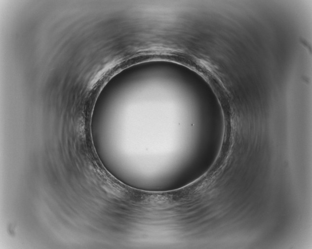 X0000102491307200808151446