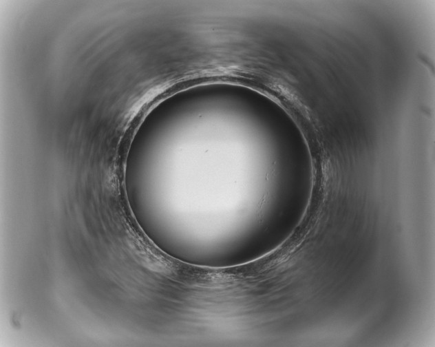 X0000102491308200808151446