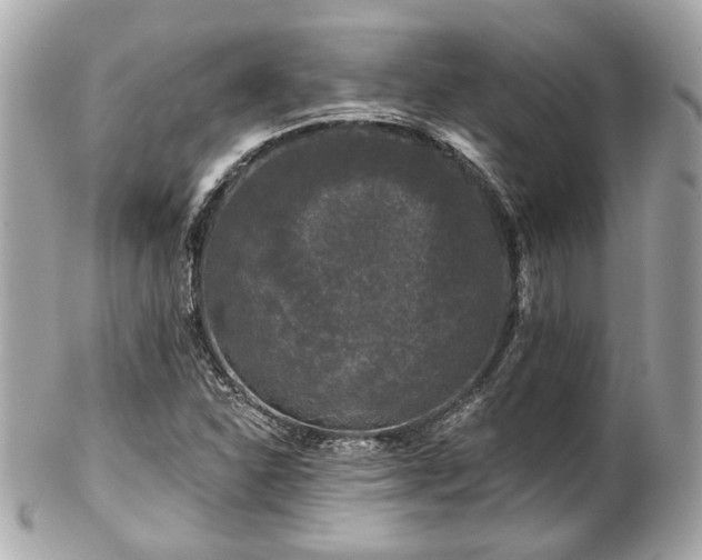 X0000102491310200808151446