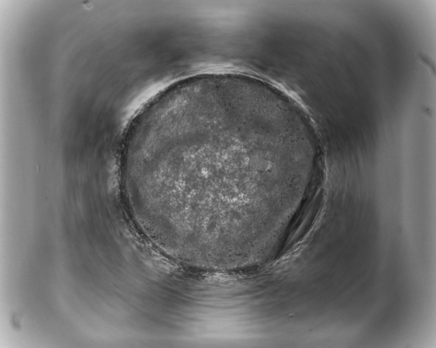 X0000102491311200808151446