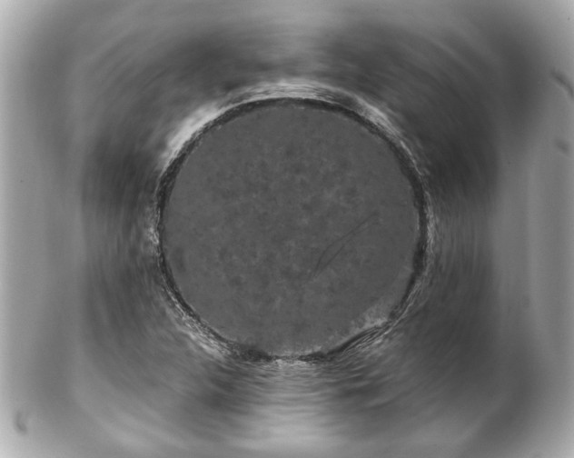 X0000102491312200808151446