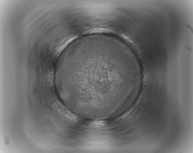 X0000102491313200808151446