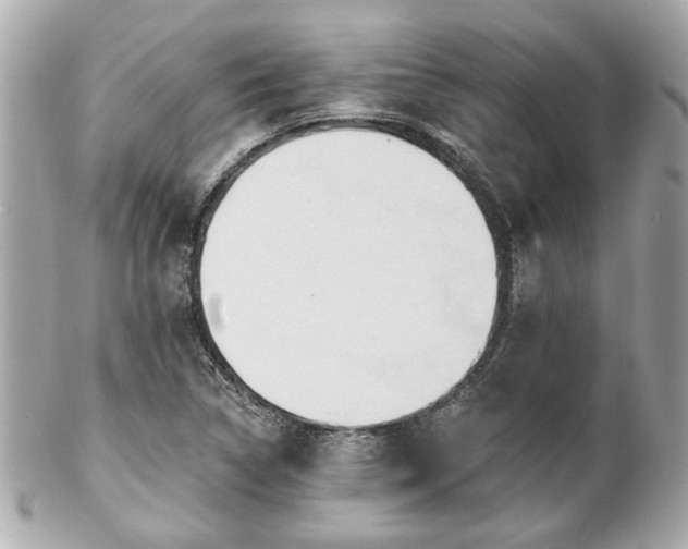 X0000102491314200808151446