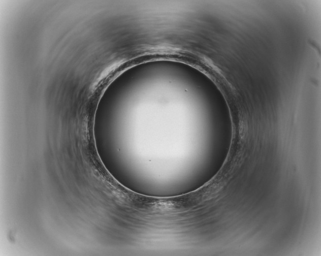 X0000102491315200808151446