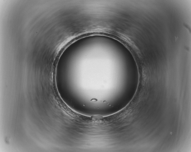 X0000102491316200808151446