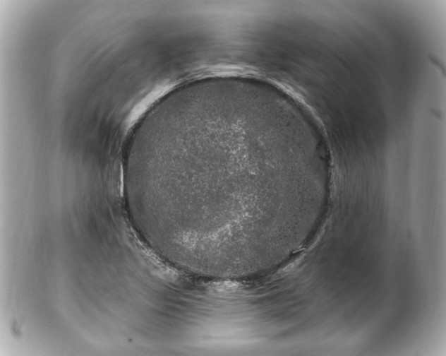 X0000102491317200808151446