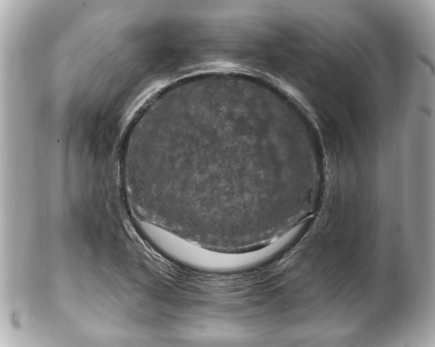 X0000102491318200808151446