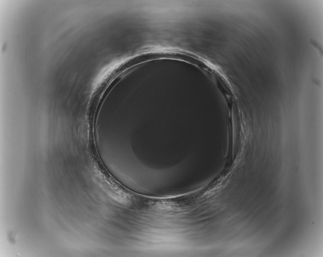 X0000102491319200808151446