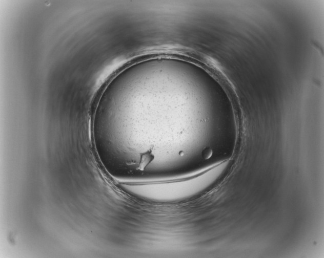 X0000102491320200808151446