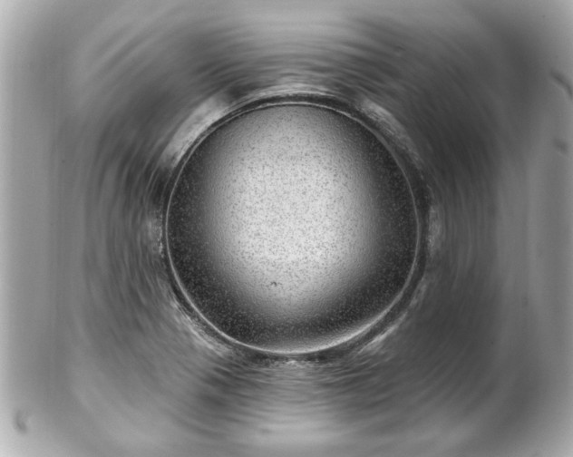 X0000102491321200808151446