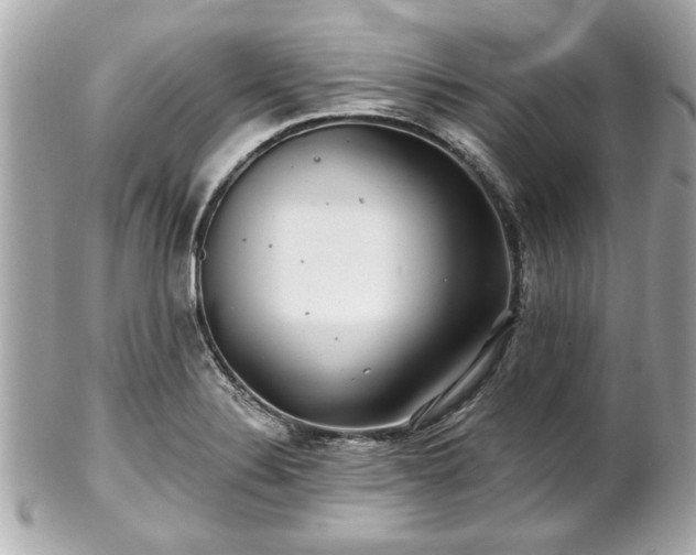 X0000102491324200808151447