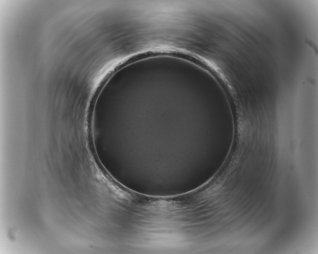 X0000102491327200808151447