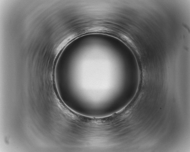 X0000102491330200808151447