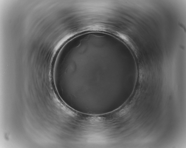 X0000102491331200808151447